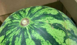 吃瓜爆料真假辨别图片,真假难辨，图片背后的真相大揭秘